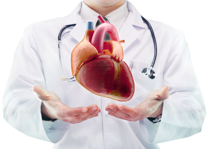 Комплексное обследование "Здоровое сердце"